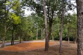 Гора с много зелени дървета, встрани има пейки за почивка.