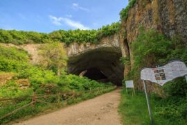 Вход към Деветашката пещера - Широк вход на пещера, обграден от зелени храсти и дървета, с информационни табели по пътя.