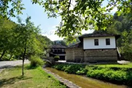 A view of traditional houses in the museum, set amidst picturesque scenery with trees and a small stream. The photo conveys the peaceful atmosphere of the place.